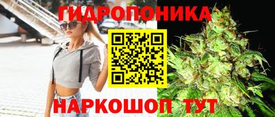 ПСИЛОЦИБИНОВЫЕ ГРИБЫ Лесосибирск