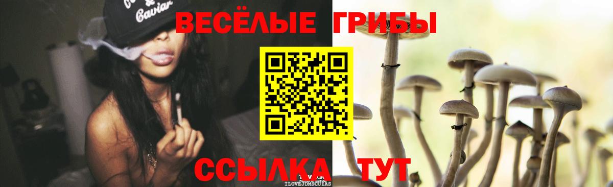Псилоцибиновые грибы Magic Shrooms Татарск